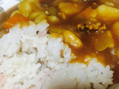 野菜たっぷりカレーライス